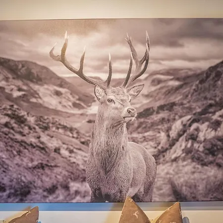 Tirola Platzl Apartament Hopfgarten im Brixental