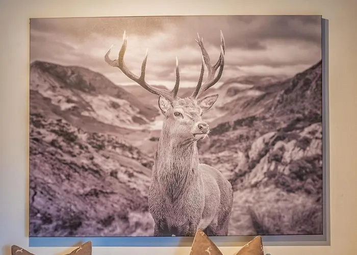 Tirola Platzl Διαμέρισμα Hopfgarten im Brixental